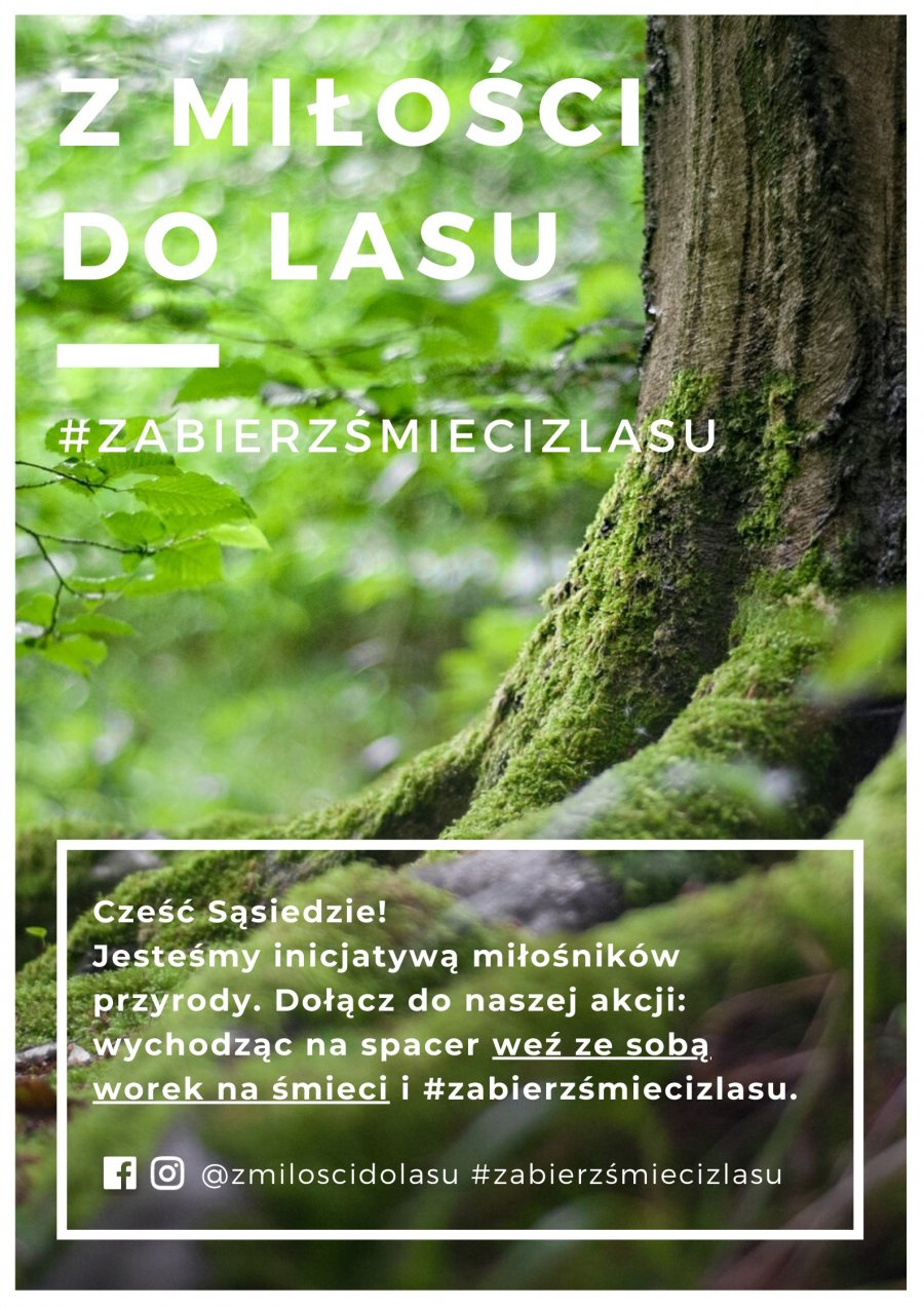 Materiały promocyjne kampanii "Z miłości do lasu"