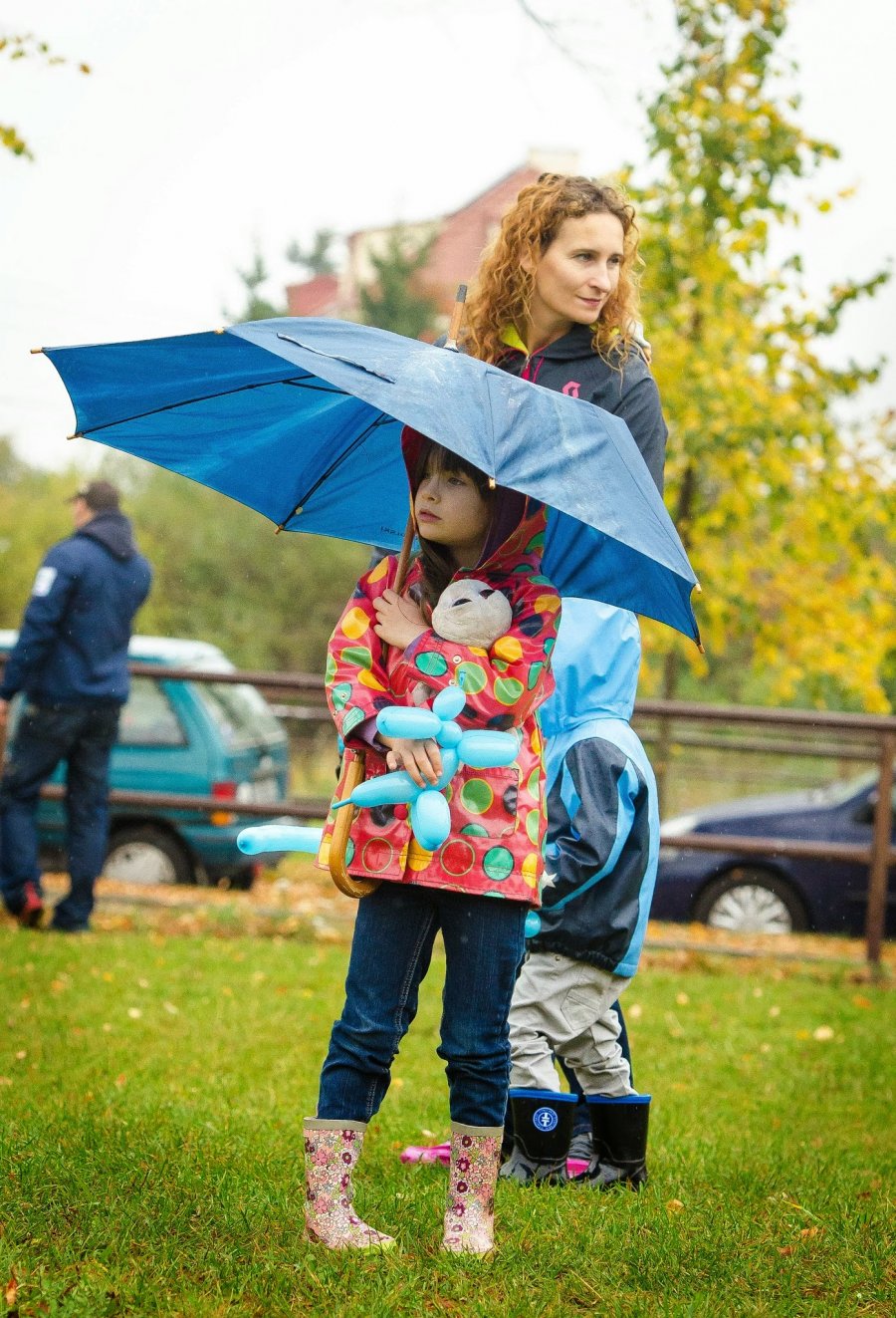 Psie Fikołki 11.10.2014