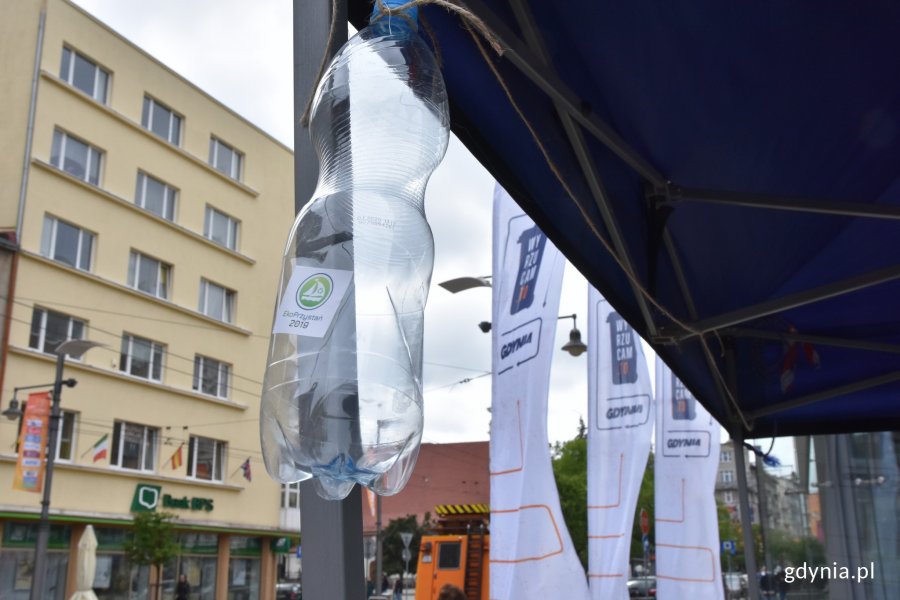 Festiwal "EkoPrzystań" w Gdyni // fot. Magdalena Czernek