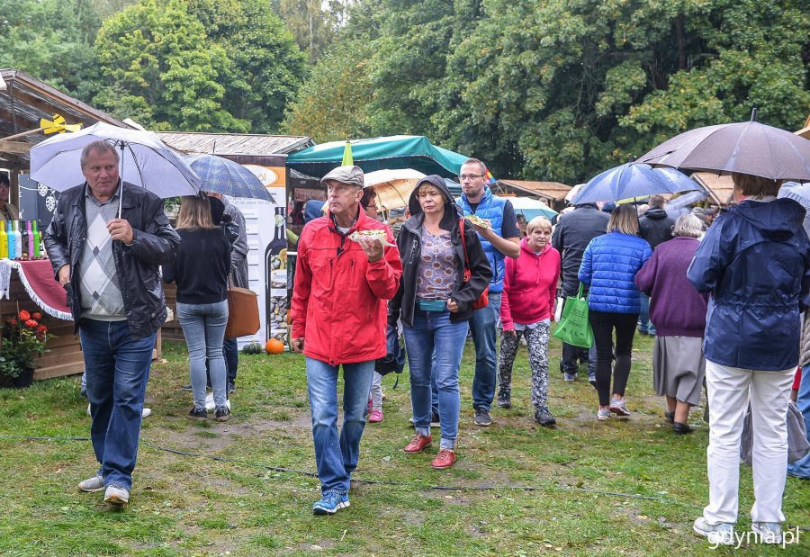 Piknik i targi „Dary Ziemi” w Gdyni // fot. Przemek Świderski