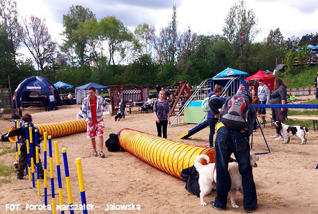 Psie fikołki - festyn edukacyjny "Pies w wielkim mieście" 13.05.2012