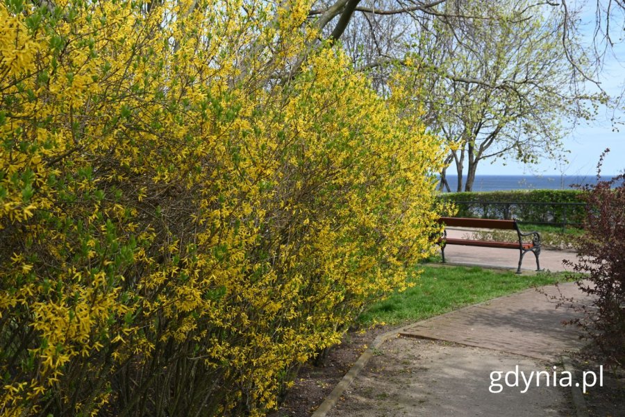 Promenada Królowej Marysieńki (fot. Magdalena Starnawska)