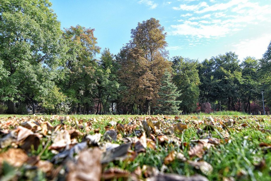 Jesień w Gdyni w obiektywie Michała Puszczewicza