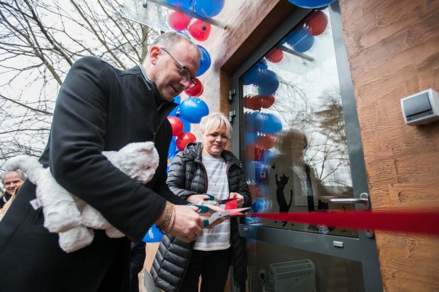 W Gdyni powstał nowy dom dla kotów // fot. Karol Stańczak