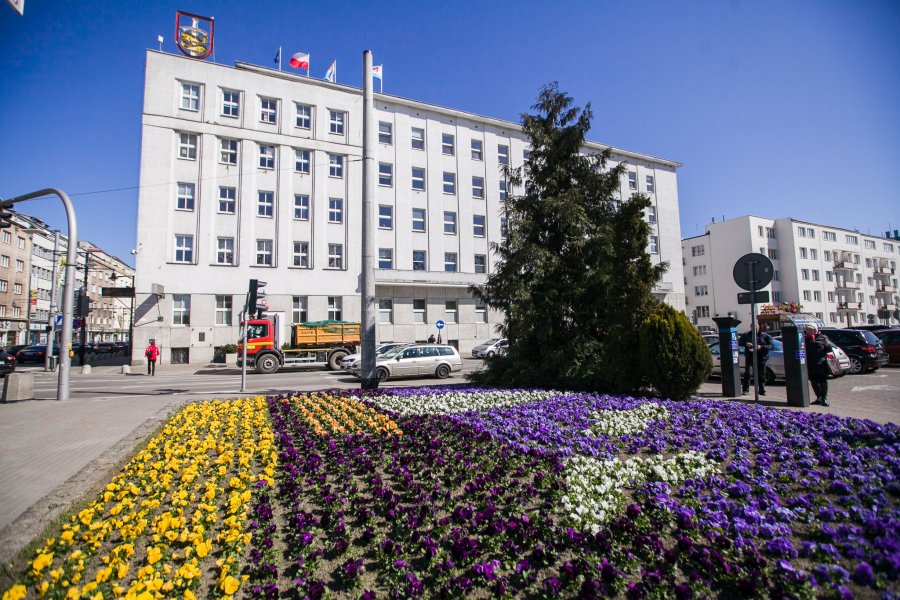 Bratki przed Urzędem Miasta