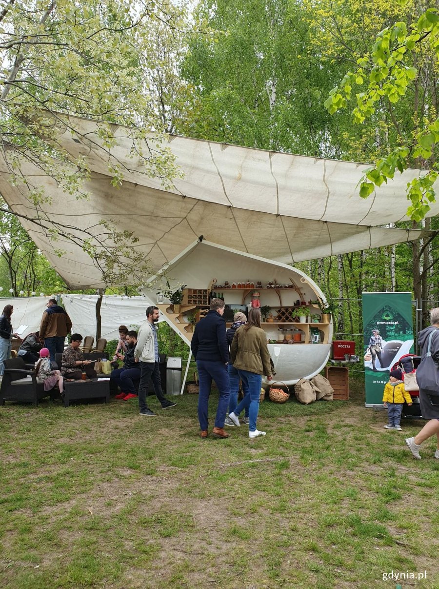 Targi "Ogród" w parku Kolibki // fot. Małgorzata Omachel-Kwidzińska