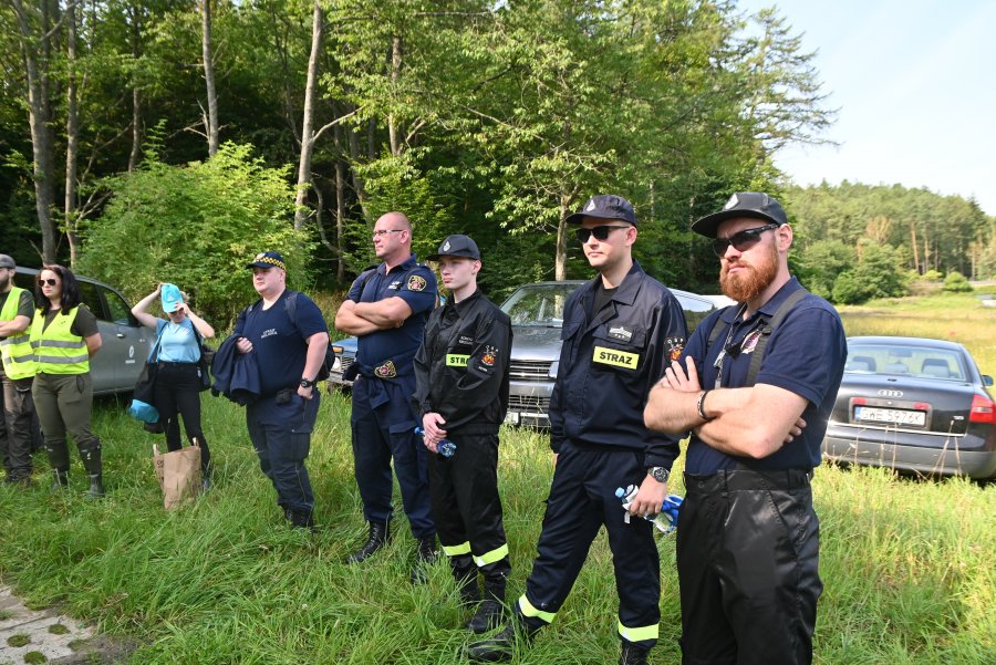 ludzie chodzą po lesie