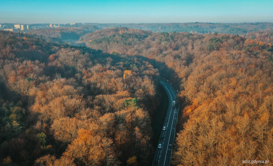 Na zdjęciu fragment ulicy Kieleckiej, której dotyczą najważniejsze ze zmian (fot. Marcin Mielewski / Zarząd Dróg i Zieleni w Gdyni)