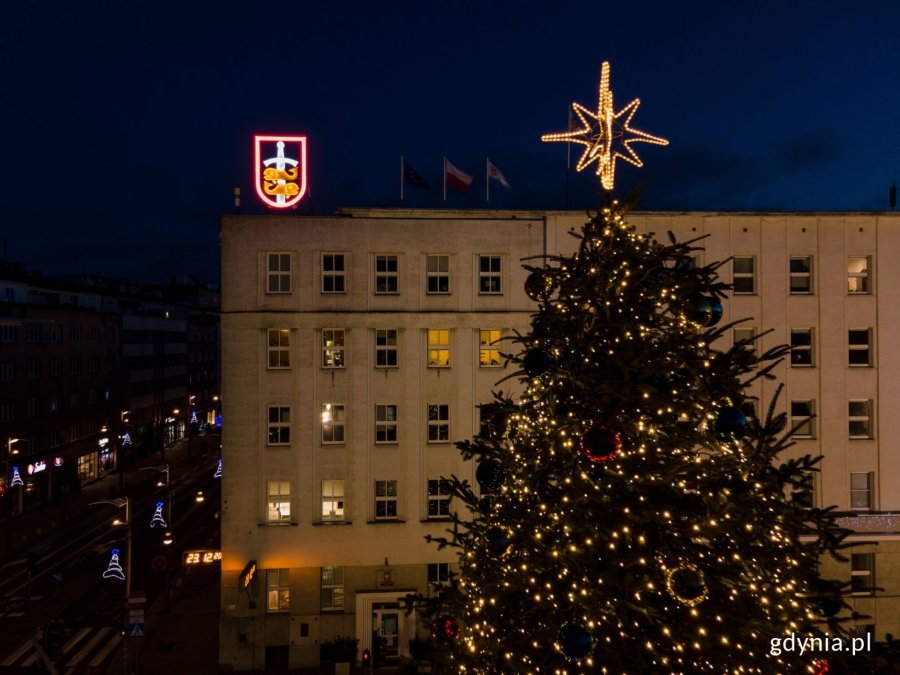Ozdobiona choinka przed Urzędem Miasta. Na szczycie znajduje się złota gwiazda. Za choinką widoczny jest budynek Urzędu Miasta. // fot. Marcin Mielewski