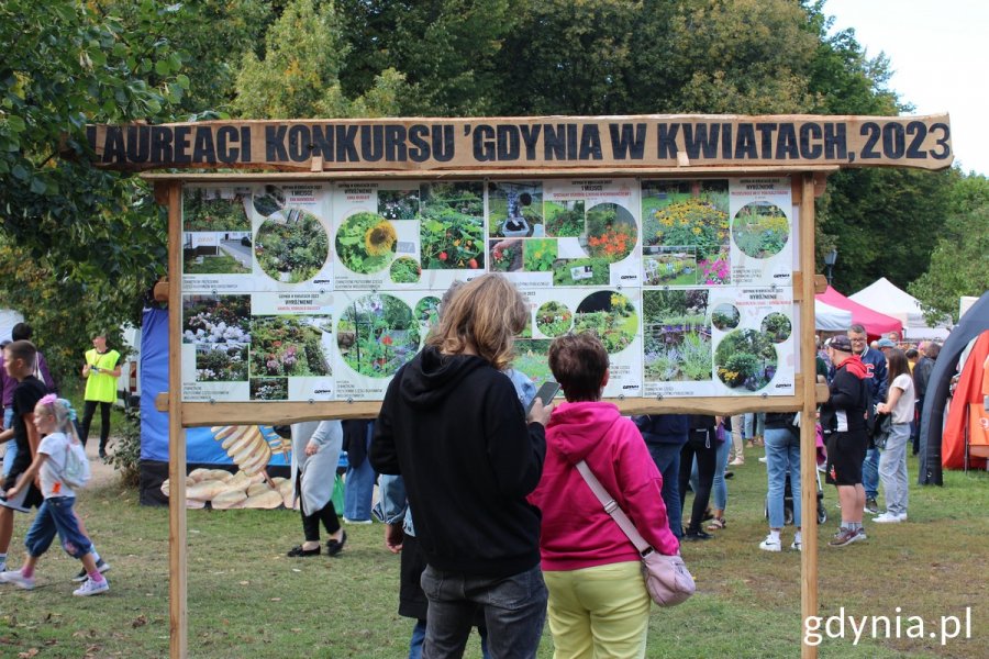 Tablica ze zdjęciami prace laureatów konkursu „Gdynia w kwiatach 2023”