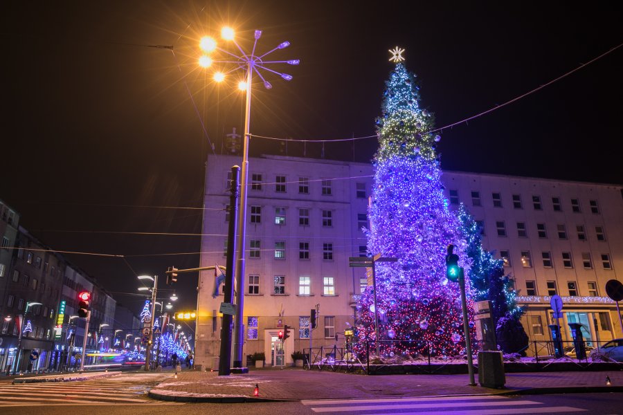 Choinka przed gdyńskim Ratuszem, fot. Karol Stańczak
