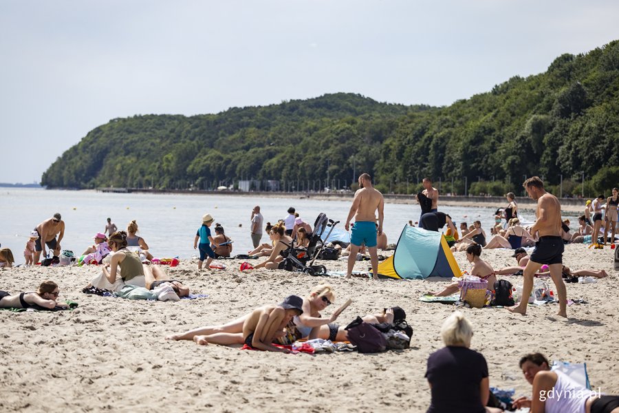 Ludzie na plaży, w tle zarośnięte lasem wzgórza.