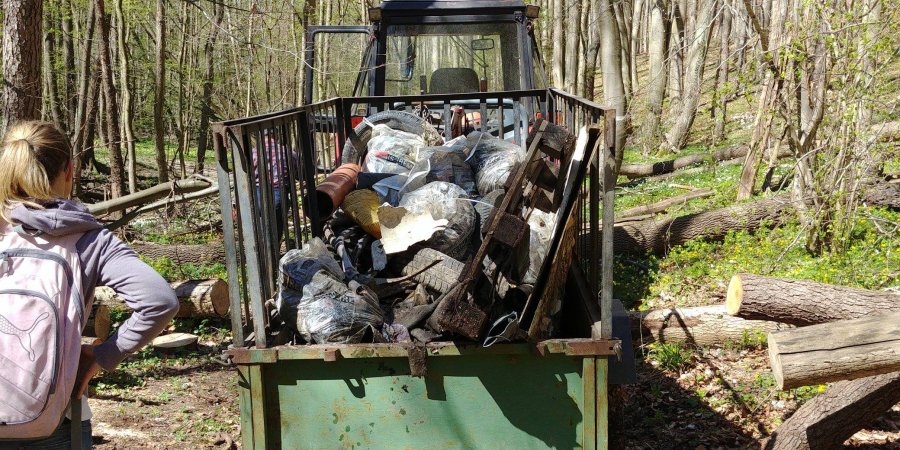 Sprzątanie potoku Źródło Marii