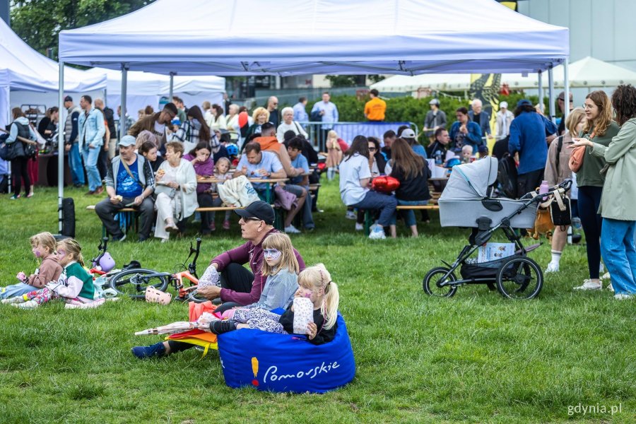 IV Wielokulturowy Piknik Rodzinny na Placu Grunwaldzkim (fot. Piotr Żagiell)