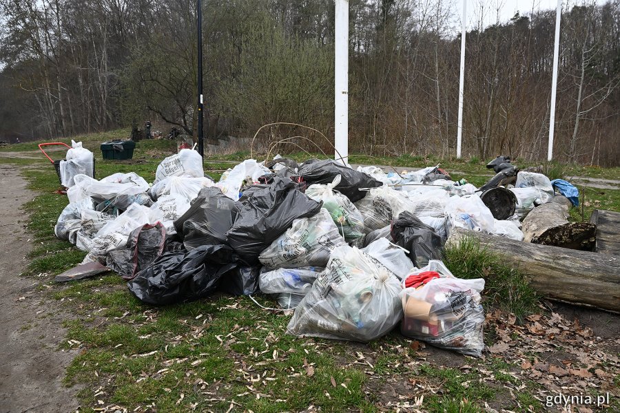 Worki ze śmieciami zebranymi podczas akcji sprzątania w Redłowie z okazji Dnia Ziemi 