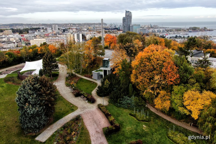 Jesienna Kamienna Góra i Śródmieście w tle // fot. Michał Puszczewicz