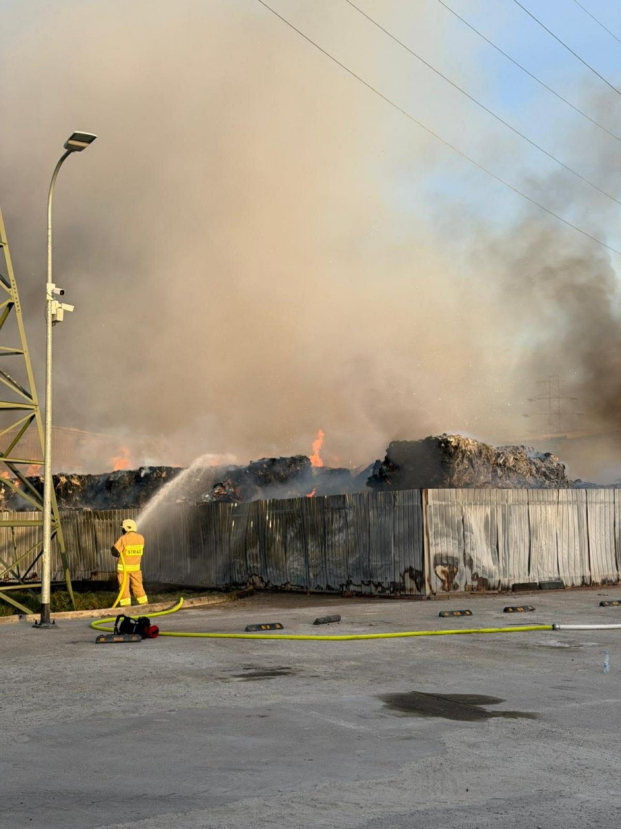Ogień wybuchł w pobliżu bazy LIZUD (fot. Marcin Mielewski / ZDM)