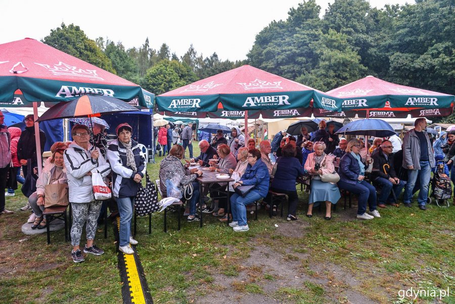 Piknik i targi „Dary Ziemi” w Gdyni // fot. Przemek Świderski