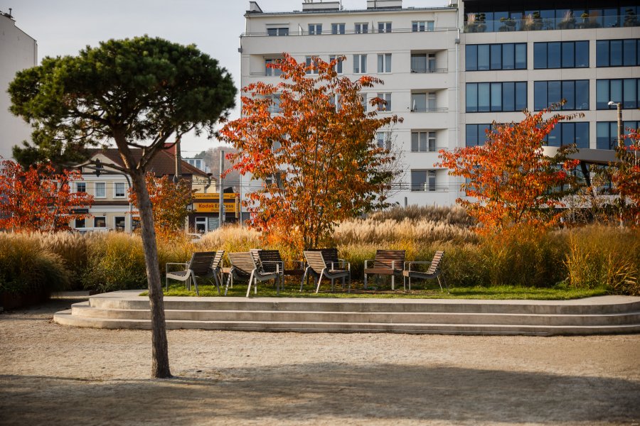Park Centralny w centrum Gdyni // fot. Karol Stańczak 