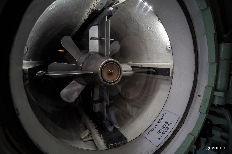 Torpeda w wyrzutni - jeden z eksponatów na „Sokole” 