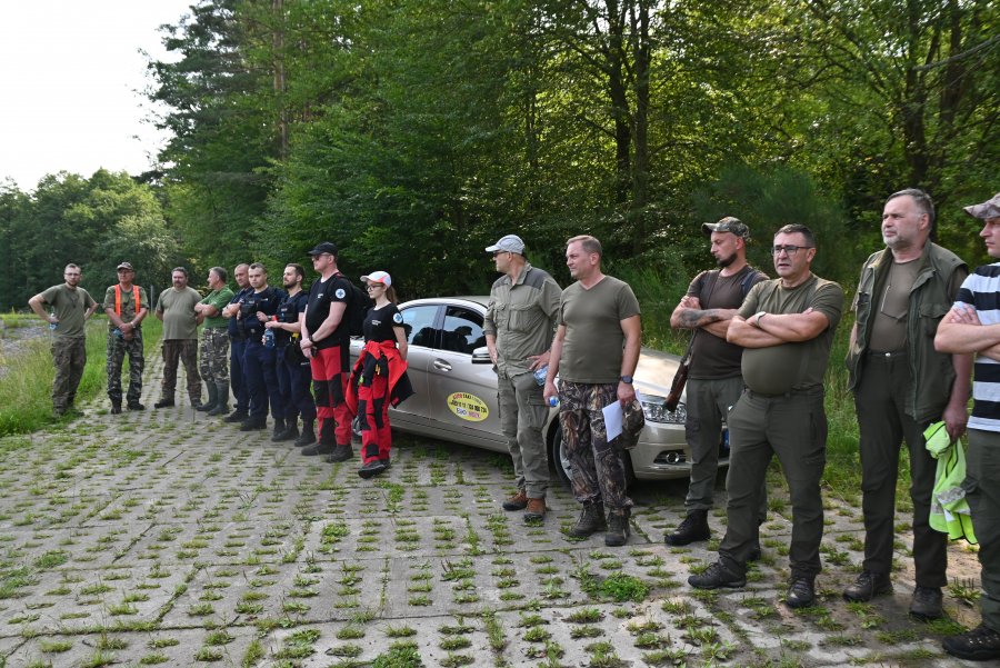 ludzie chodzą po lesie
