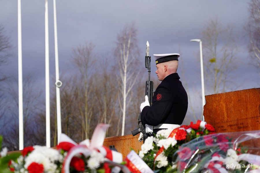 Wartownik wśr&oacute;d wieńc&oacute;w 