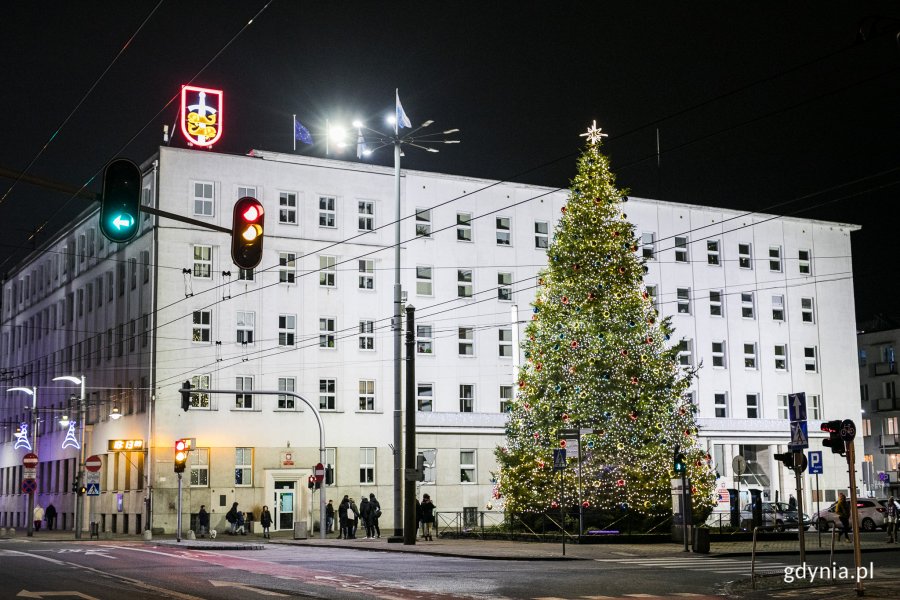 Choinka przy Urzędzie Miasta // fot. Karol Stańczak