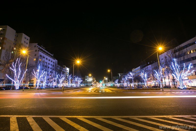 Świąteczne iluminacje na drzewach na skwerze Kościuszki // fot. Karol Stańczak