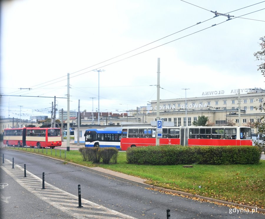 Ikarusy podczas przejazdu ulicami Gdyni 