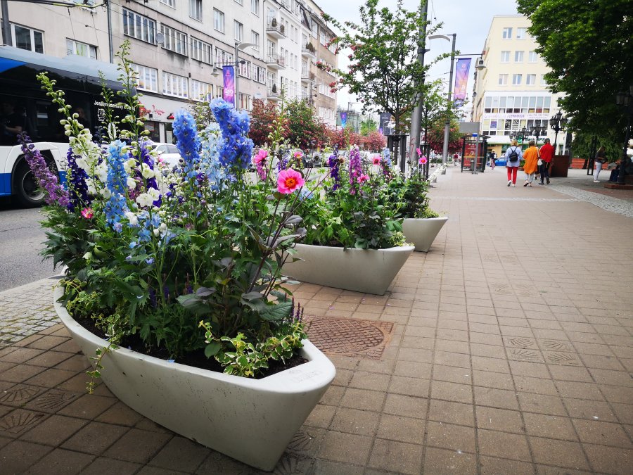 Kolorowe łódeczki przy ul. Świętojańskiej pełne kwiatów // fot. Karolina Szypelt