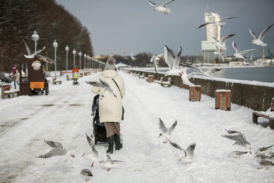 Zima w Gdyni // fot. Karol Stańczak