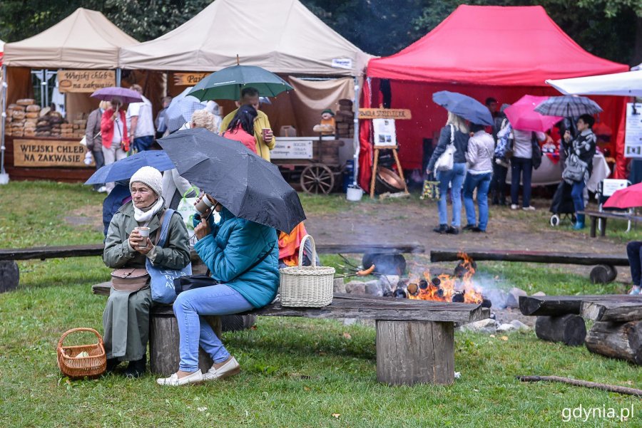 Piknik i targi „Dary Ziemi” w Gdyni // fot. Przemek Świderski