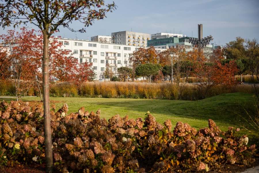 Park Centralny w centrum Gdyni // fot. Karol Stańczak 