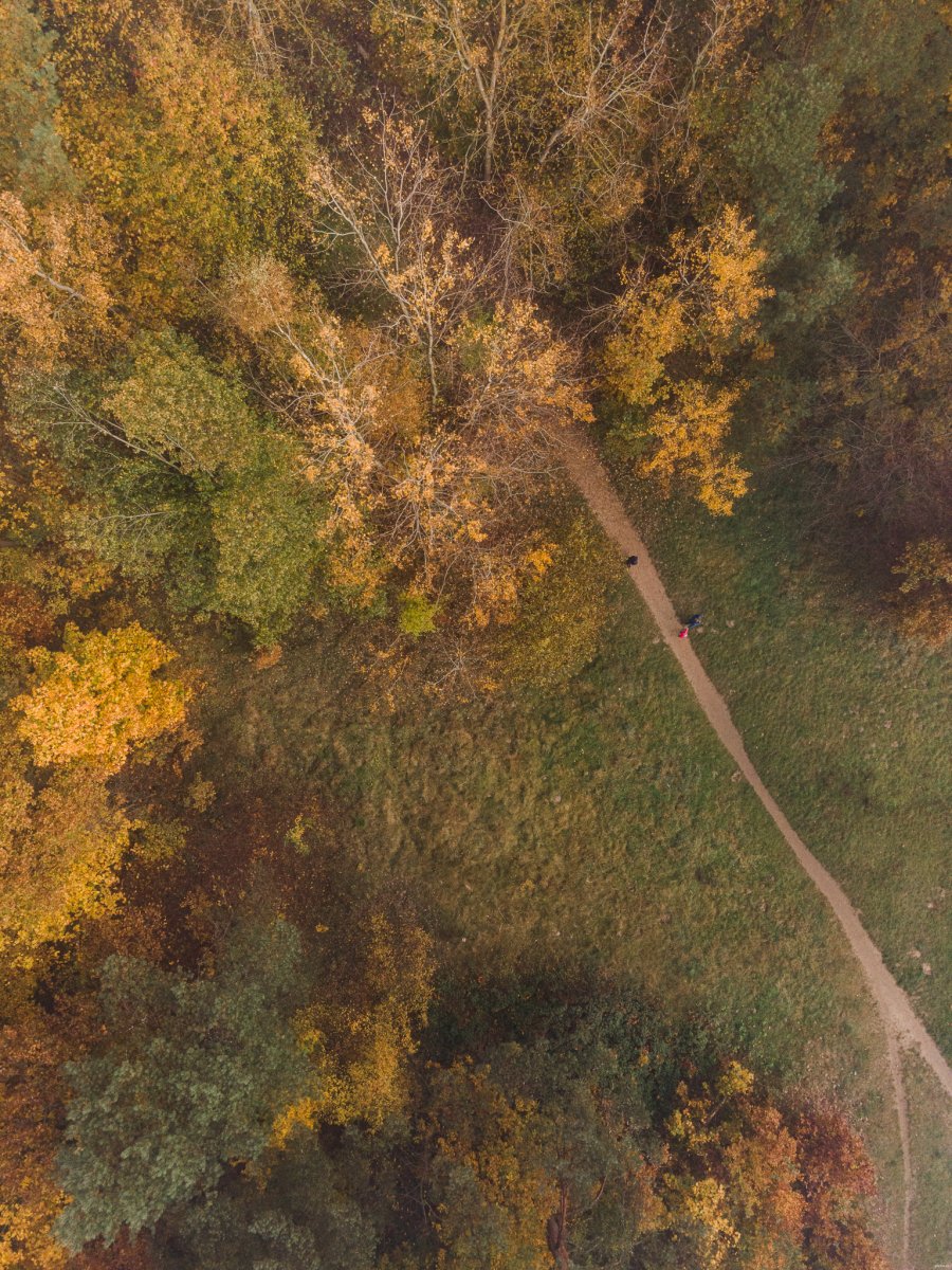 Jesień w Gdyni. Polanka Redłowska // fot. Karol Stańczak 