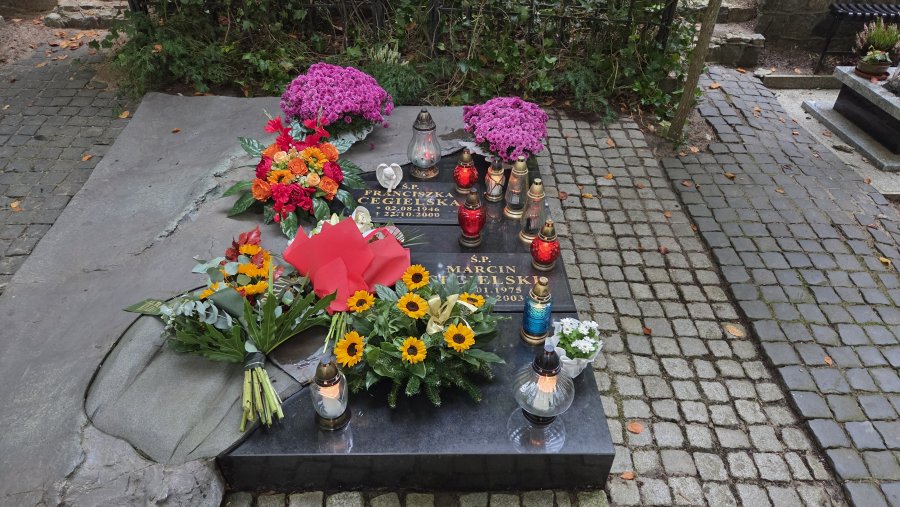 Gr&oacute;b Franciszki Cegielskiej jest położony w Alei Zasłużonych na Cmentarzu Witomińskim