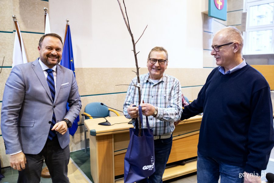 Trzech mężczyzn na sali w urzędzie pozuje do zdjęcia z sadzonka jabłoni.