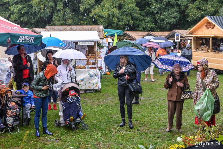 Piknik i targi „Dary Ziemi” w Gdyni // fot. Przemek Świderski