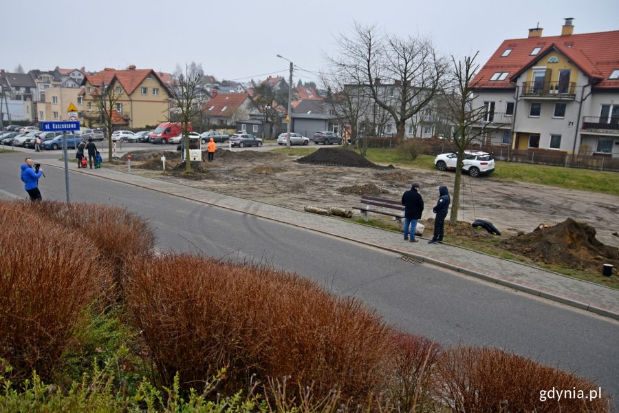 Przesadzone drzewa staną się elementem powstającego parku // fot. Paweł Kukla