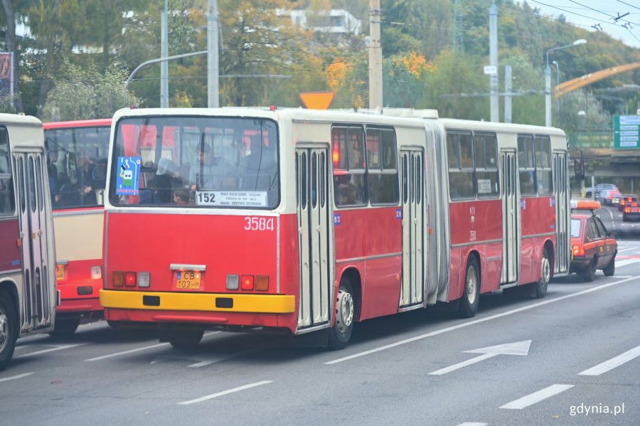 Ikarusy podczas przejazdu ulicami Gdyni 