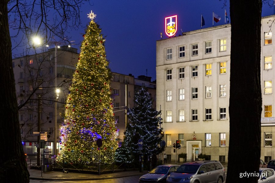 Dwie choinki stojące przed Urzędem Miasta (al. Marsz. Piłsudskiego 52/54). Choinki ozdobione są światełkami, większa ma również bombki i gwiazdę na czubku. W tyle widoczny jest budynek Urzędu z roświetlonym herbem Gdyni na dachu. // fot. Przemysław Kozłowski