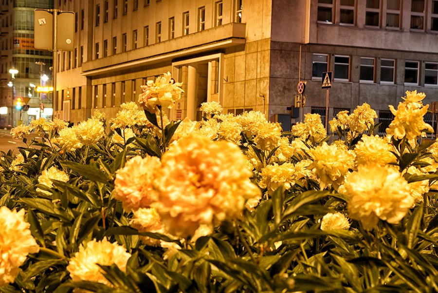 Gdynia nocą