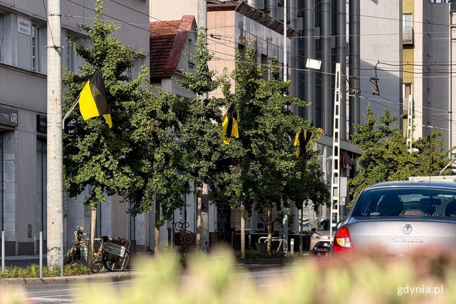 Kaszubskie flagi na masztach ul. 10 Lutego 