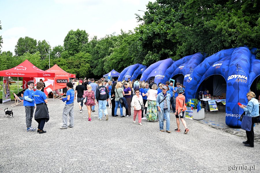 Piknik Europejski na Placu Wolnej Ukrainy w Gdyni (fot. Michał Puszczewicz)
