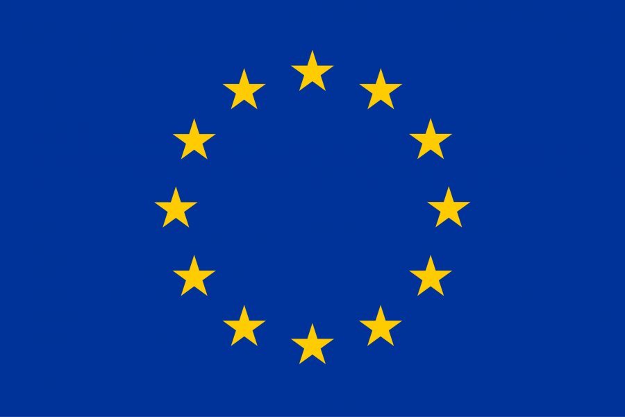 Flaga Unii Europejskiej