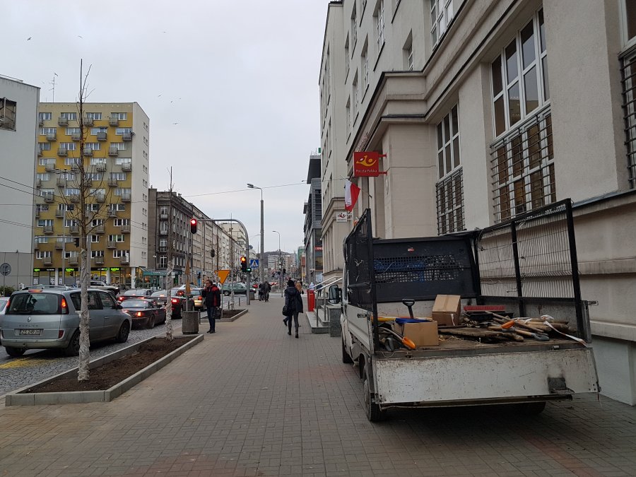 Prace przy sadzeniu nowych drzew