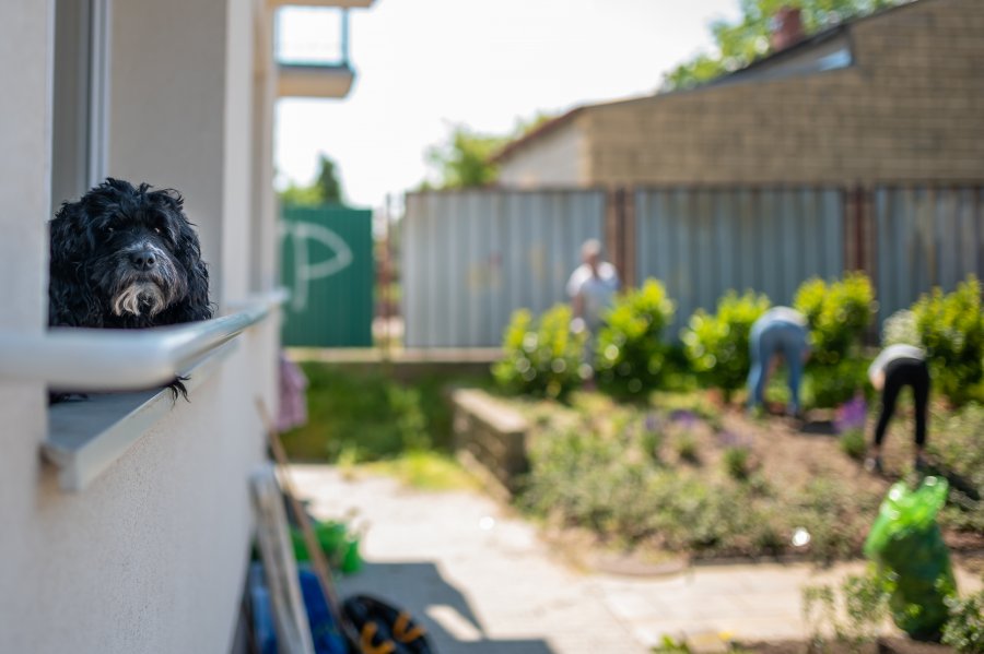 Blok przy ul. Dickmana 38 // fot. Laboratorium Innowacji Społecznych