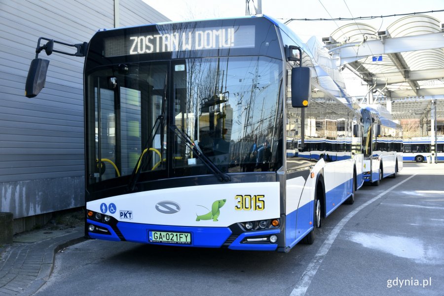 Specjalne oznaczenia graficznew gdyńskich autobusach i trolejbusach // fot. Magdalena Czernek