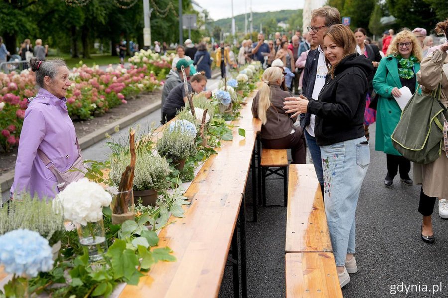 Gdynia świętuje. W Alei Marszałka J. Piłsudskiego stoi 600-metrowy urodzinowy st&oacute;ł (fot. Mirosław Pieślak) 