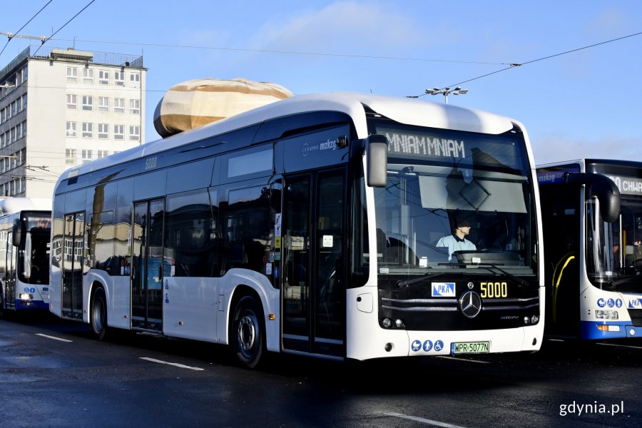 Akcja promocyjna PKA w Gdyni i Mercedesa z okazji tłustego czwartku. (fot. Kamil Złoch)