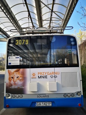 Trolejbusy przypominają o 1% dla gdyńskich organizacji // fot. Danuta Kantrzonka